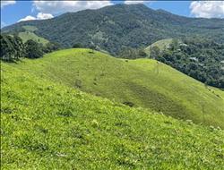Sítio à Venda