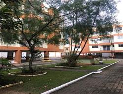 Apartamento à Venda em Manejo